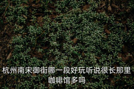 杭州南宋御街哪一段好玩聽說很長那里咖啡館多嗎