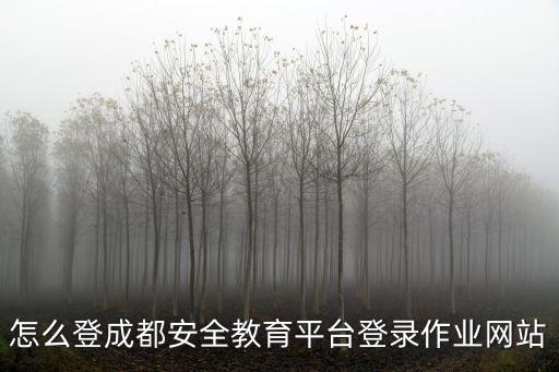 怎么登成都安全教育平臺登錄作業網站