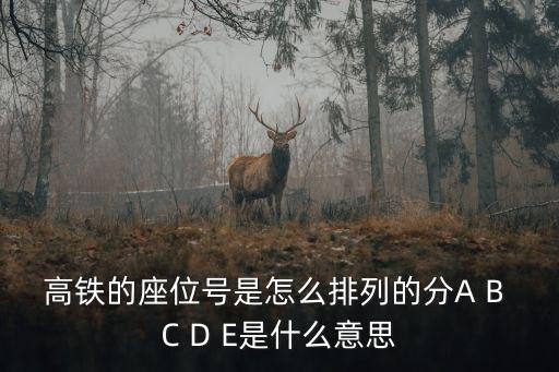 高鐵的座位號(hào)是怎么排列的分A B C D E是什么意思