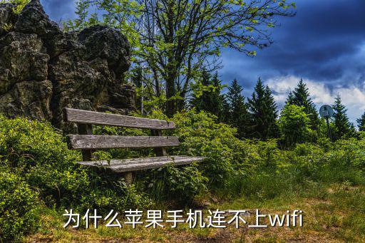 為什么蘋果手機連不上wifi