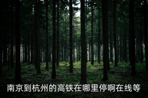 南京到杭州高鐵，南京至杭州的高鐵要多少時(shí)間