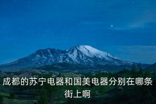 成都的蘇寧電器和國美電器分別在哪條街上啊
