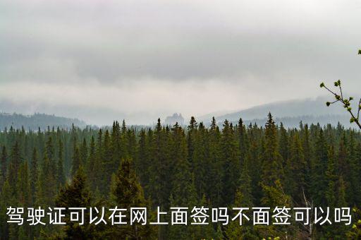 駕駛證可以在網上面簽嗎不面簽可以嗎