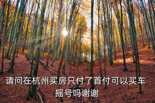 請問在杭州買房只付了首付可以買車 搖號(hào)嗎謝謝