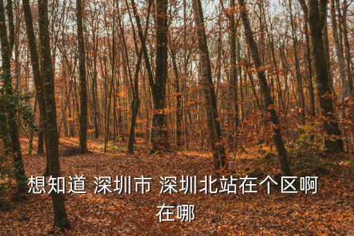 想知道 深圳市 深圳北站在個區(qū)啊 在哪