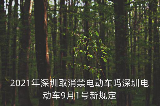 深圳禁止電動車，關于深圳禁止電動車的問題