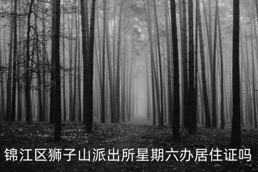 錦江區獅子山派出所星期六辦居住證嗎