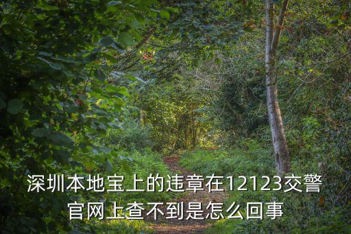 深圳本地寶上的違章在12123交警官網上查不到是怎么回事