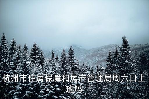 杭州市住房保障和房產(chǎn)管理局周六日上班嗎