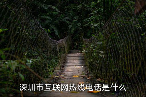深圳市互聯網熱線電話是什么