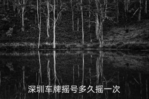 深圳車牌搖號多久搖一次