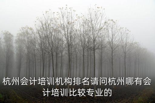 杭州會計培訓機構排名請問杭州哪有會計培訓比較專業的