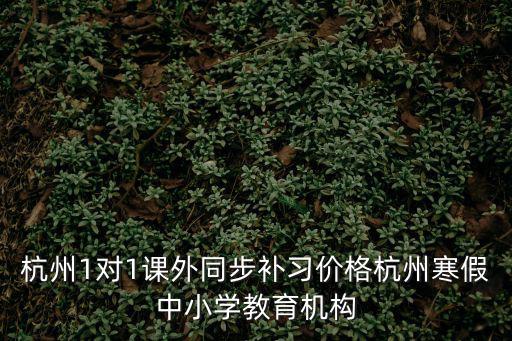 杭州1對1課外同步補習價格杭州寒假中小學教育機構