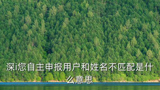 深i您自主申報(bào)用戶和姓名不匹配是什么意思