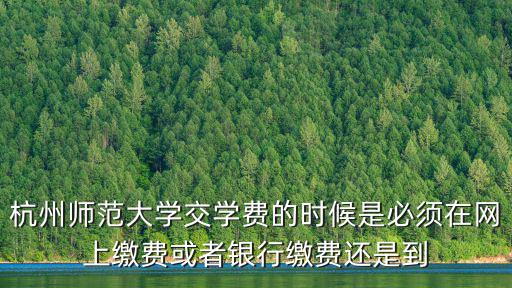 杭州師范大學交學費的時候是必須在網上繳費或者銀行繳費還是到