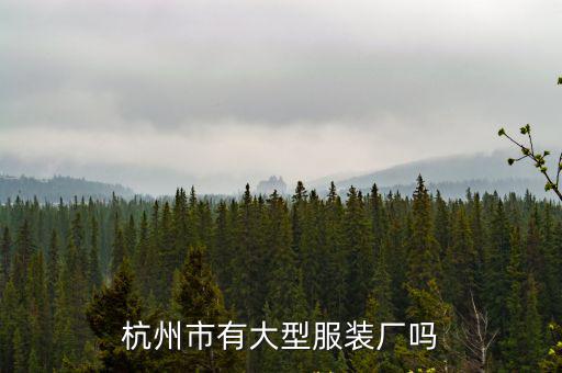 杭州市有大型服裝廠嗎