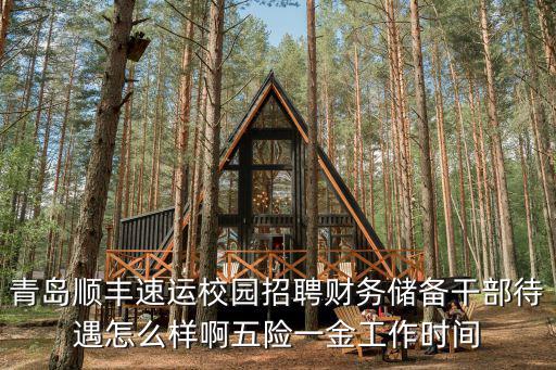 青島順豐速運校園招聘財務儲備干部待遇怎么樣啊五險一金工作時間