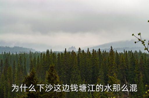 為什么下沙這邊錢塘江的水那么混
