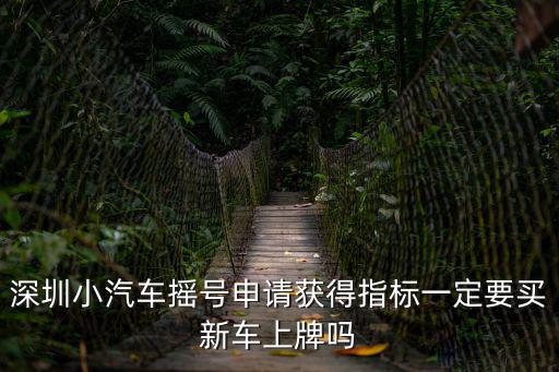 深圳小汽車搖號，深圳小汽車搖號申請獲得指標一定要買新車上牌嗎