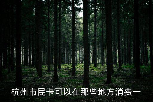 杭州市民卡可以在那些地方消費一
