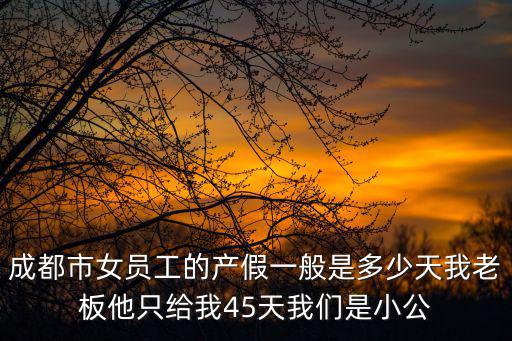 成都市女員工的產假一般是多少天我老板他只給我45天我們是小公
