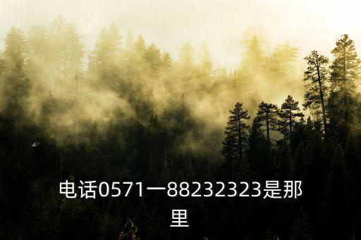 電話0571一88232323是那里
