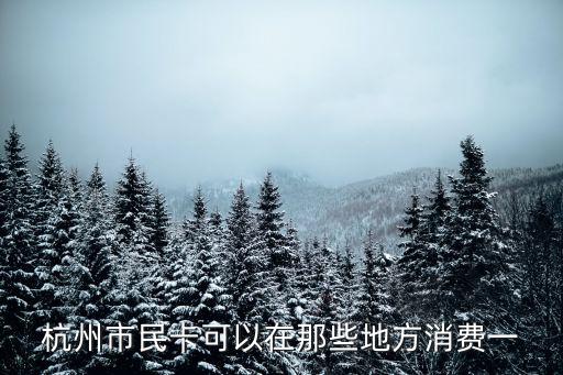 杭州市民消費卡，杭州市民卡可以在那些地方消費一
