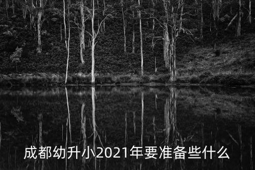 成都幼升小，成都幼兒園升小學需要那些證件
