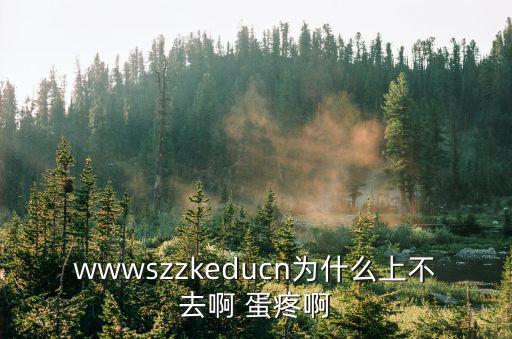 wwwszzkeducn為什么上不去啊 蛋疼啊