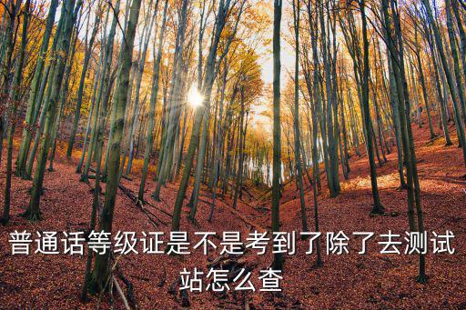 普通話等級(jí)證是不是考到了除了去測(cè)試站怎么查