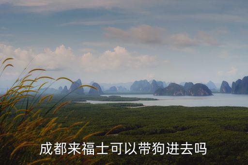 成都來(lái)福士可以帶狗進(jìn)去嗎