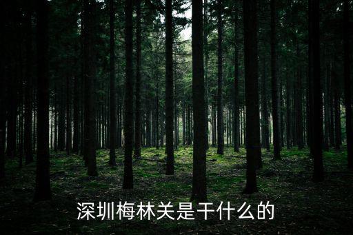 深圳梅林關(guān)是干什么的