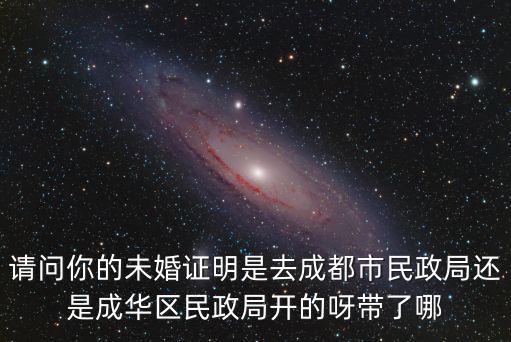 請問你的未婚證明是去成都市民政局還是成華區民政局開的呀帶了哪