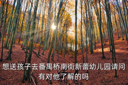 想送孩子去番禺橋南街新蕾幼兒園請問有對他了解的嗎