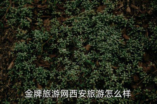 金牌旅游網西安旅游怎么樣