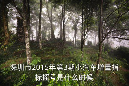 深圳汽車增量調控管理信息系統，怎樣參加深圳小汽車搖號