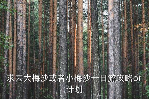 求去大梅沙或者小梅沙一日游攻略or計(jì)劃