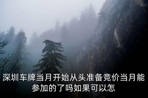 深圳車牌當月開始從頭準備競價當月能參加的了嗎如果可以怎