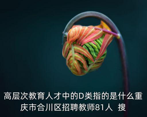 高層次教育人才中的D類(lèi)指的是什么重慶市合川區(qū)招聘教師81人  搜