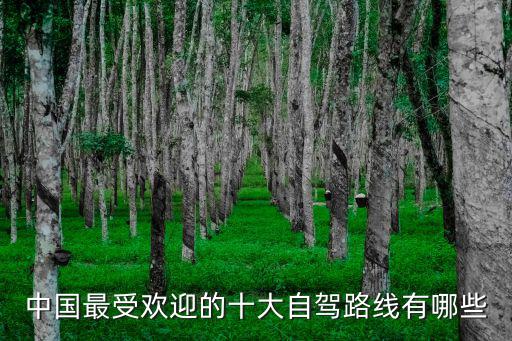 中國最受歡迎的十大自駕路線有哪些