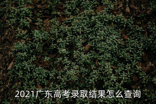 2021廣東高考錄取結果怎么查詢