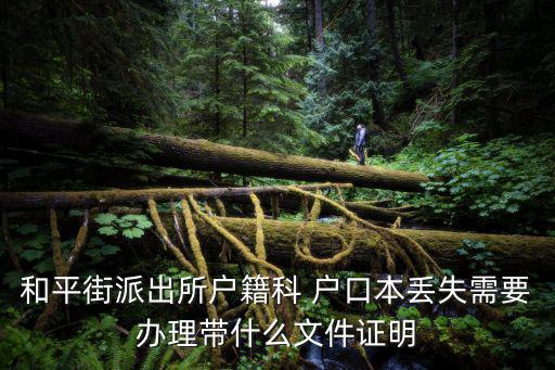 和平街派出所戶籍科 戶口本丟失需要辦理帶什么文件證明