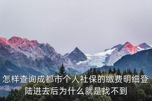 怎樣查詢成都市個人社保的繳費明細登陸進去后為什么就是找不到