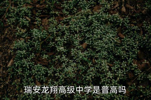 龍翔高中，瑞安龍翔高級中學是普高嗎