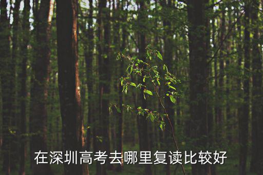 深圳高考復(fù)讀，深圳高三復(fù)讀去哪好