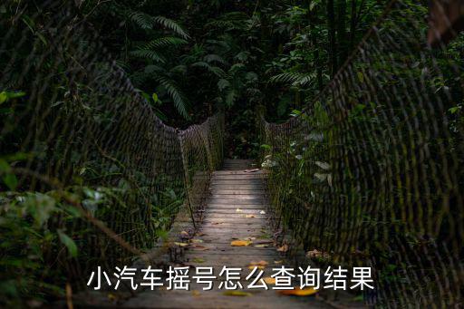 小汽車搖號怎么查詢結果