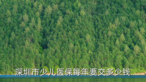 深圳市少兒醫保每年要交多少錢