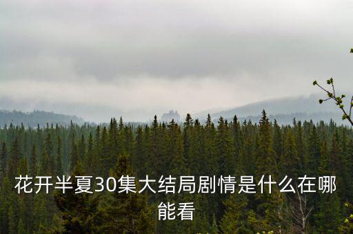 花開半夏30集大結局劇情是什么在哪能看
