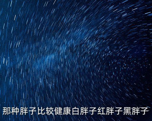 那種胖子比較健康白胖子紅胖子黑胖子