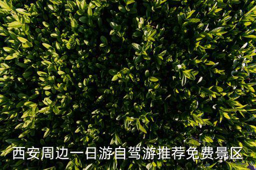 西安周邊一日游自駕游推薦免費景區